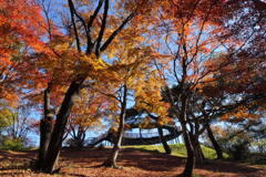 紅葉の伊香保上ノ山公園