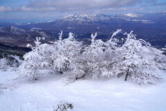 霧氷と四阿山