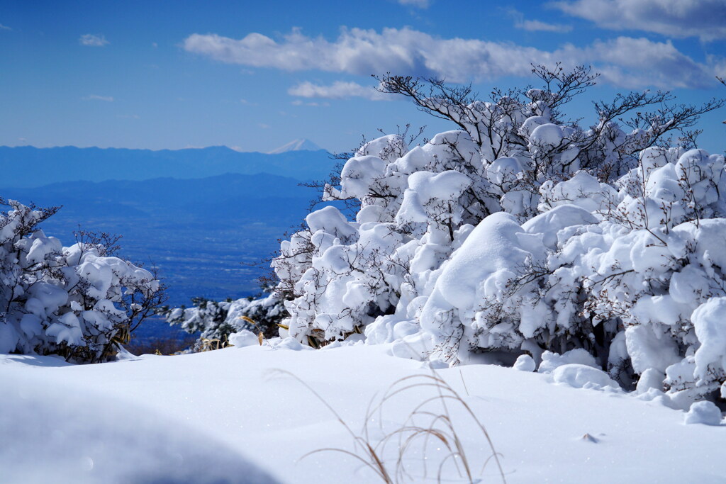 もこもこ雪と富士山
