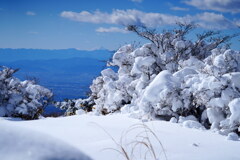 もこもこ雪と富士山