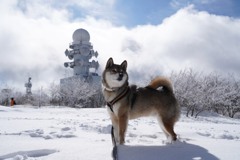 ボク　格好いいでしょ