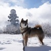 ボク　格好いいでしょ