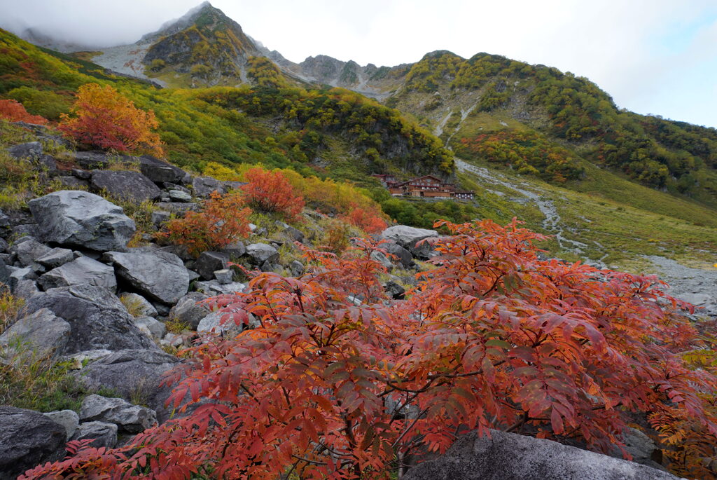 紅葉の涸沢
