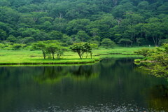 覚満淵の夏