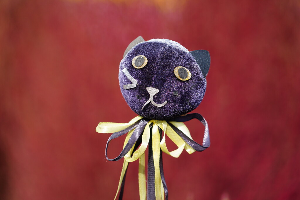 紅葉とマスコット