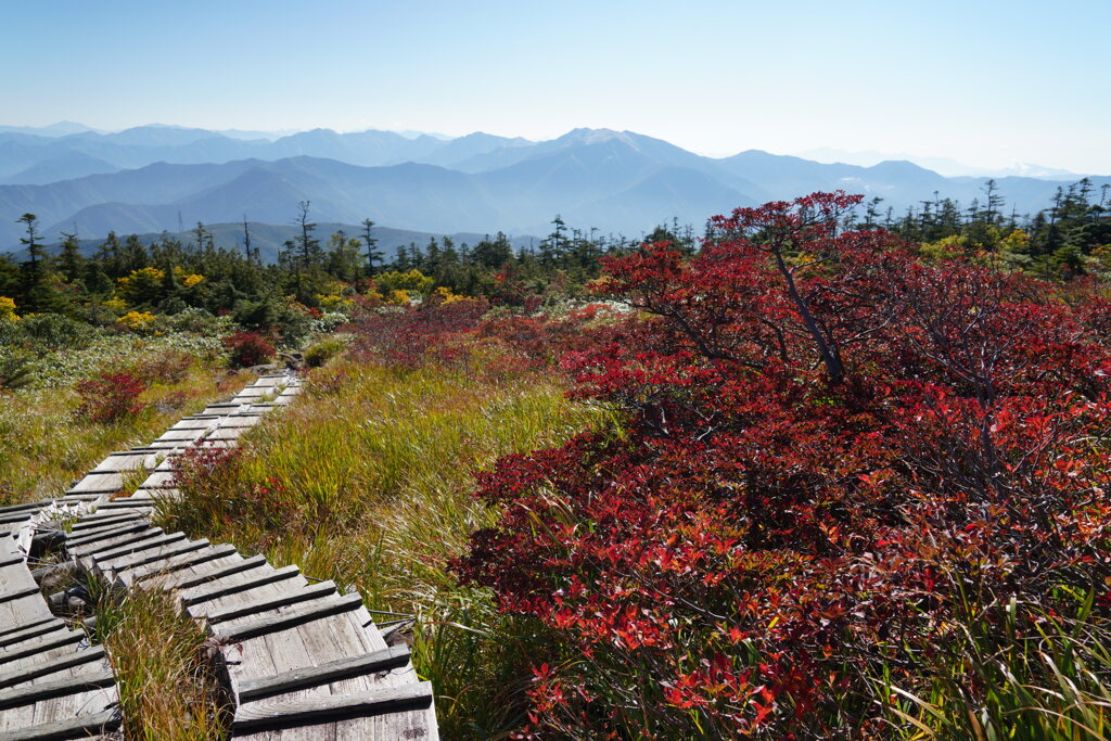 紅葉染まる登山道