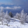 冬の夢
