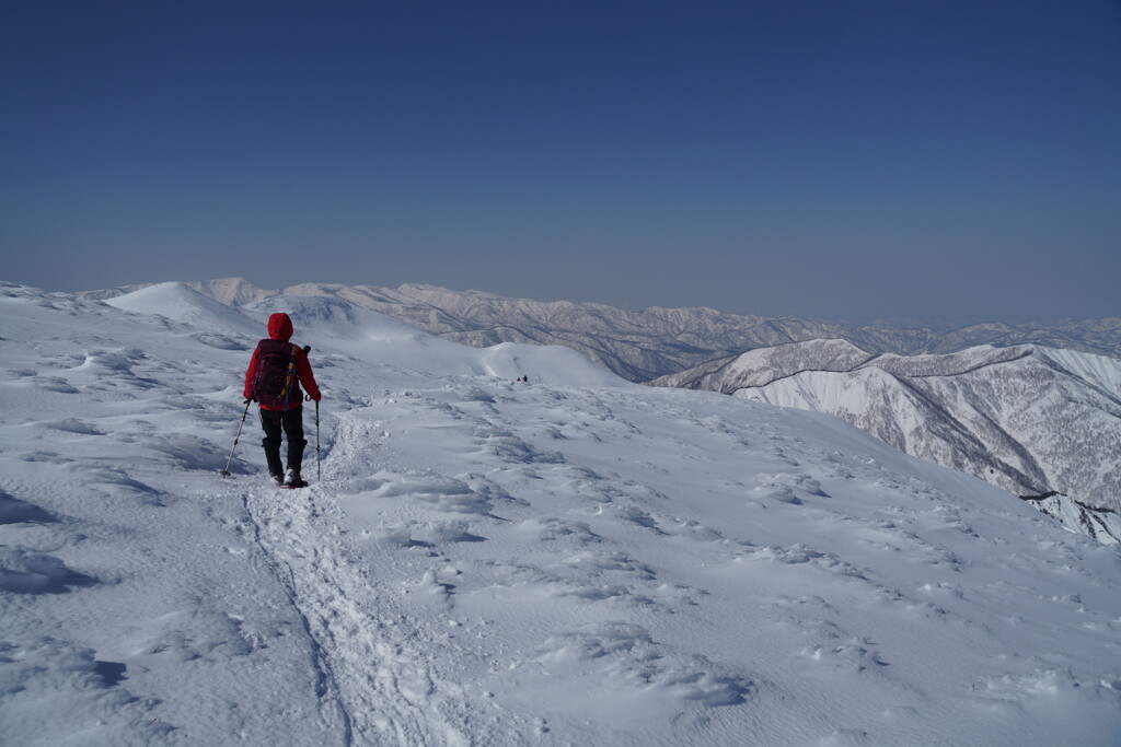 厳冬の天空花畑