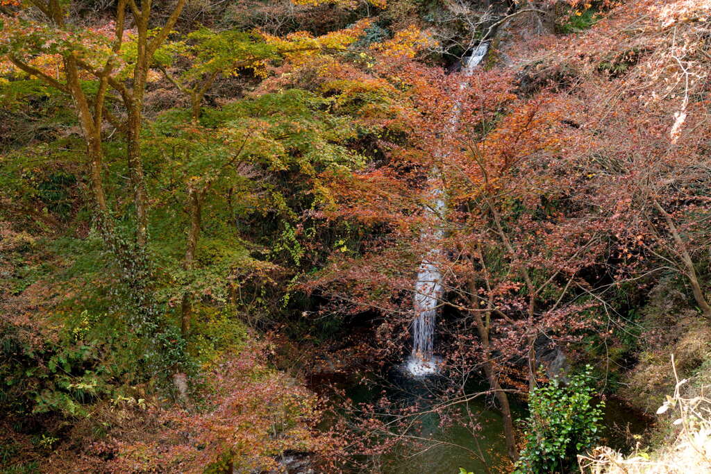 秩父華厳の滝　秋の終わりに