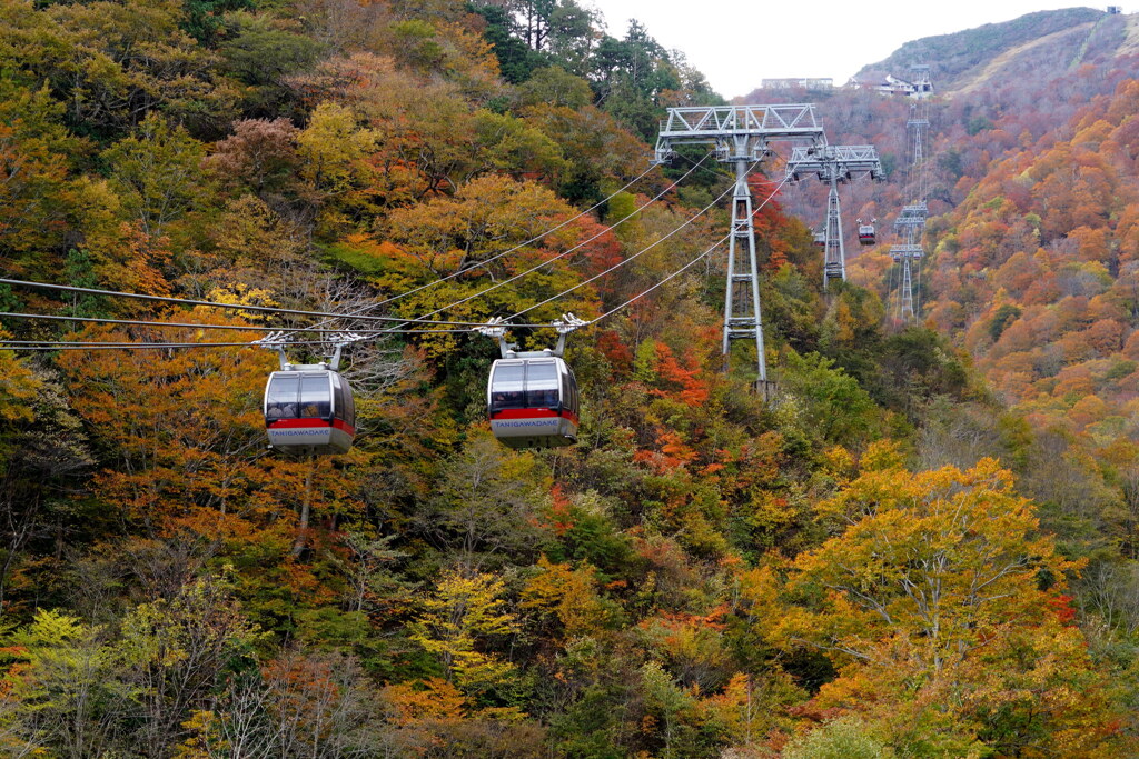 紅葉の谷川ロープウェイ