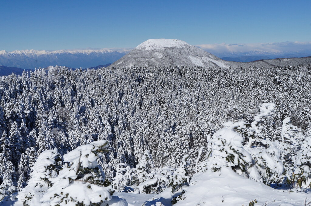 白いベールの蓼科山
