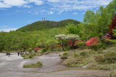 初夏の赤城小沼