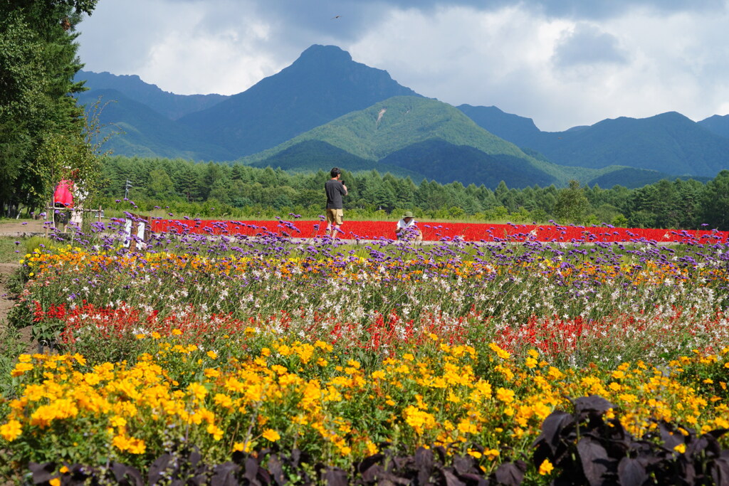 八ヶ岳ガーデン