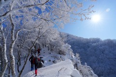 真っ白な霧氷ハイク