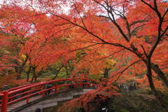 秋の河鹿橋