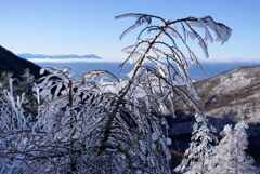 霧氷の先に