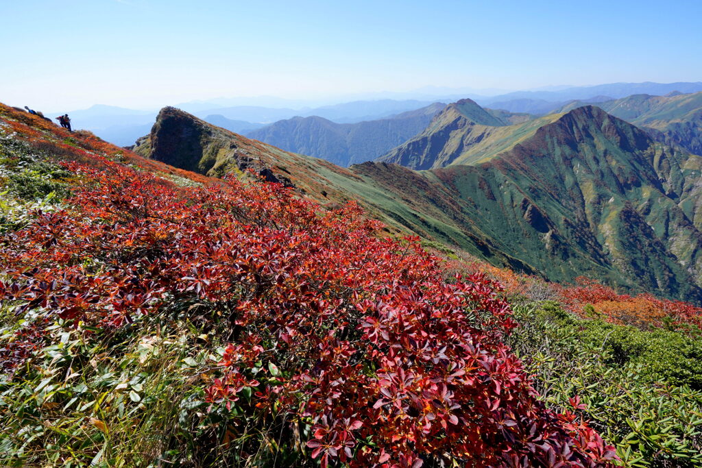 紅葉染まる谷川岳