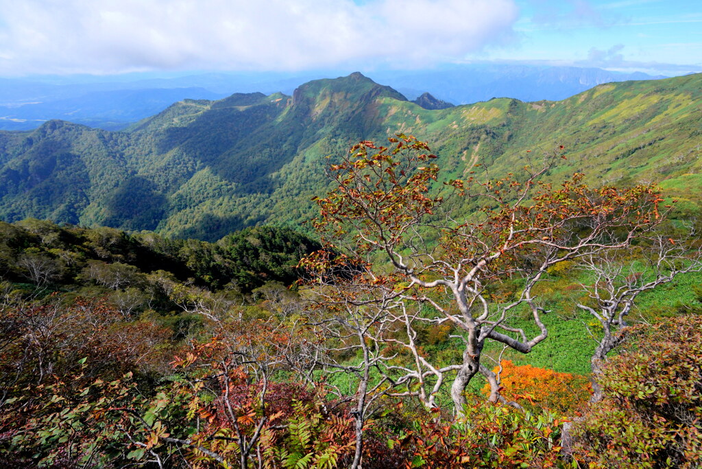 秋始める剣ヶ峰