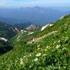 天空の花園