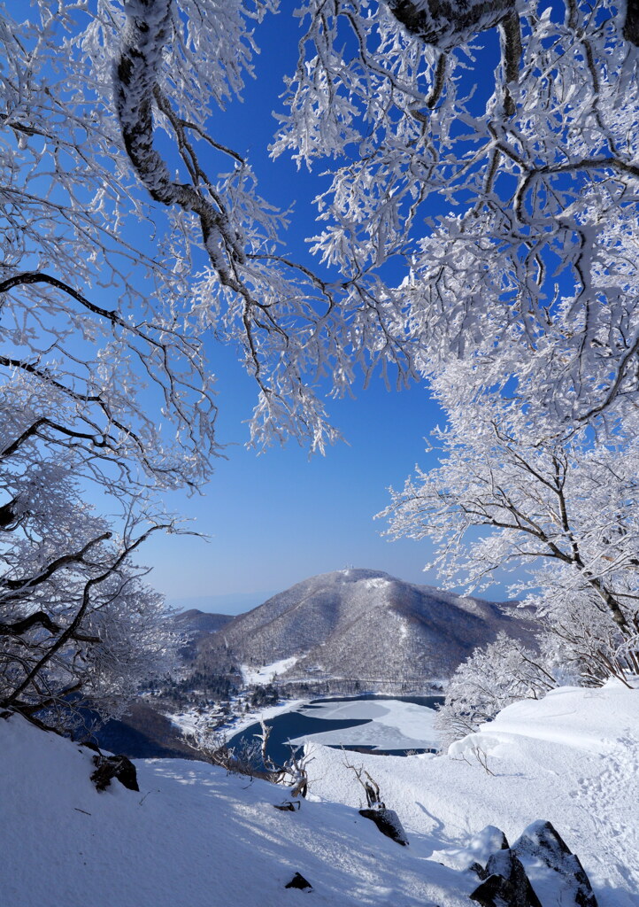 霧氷輝く赤城山