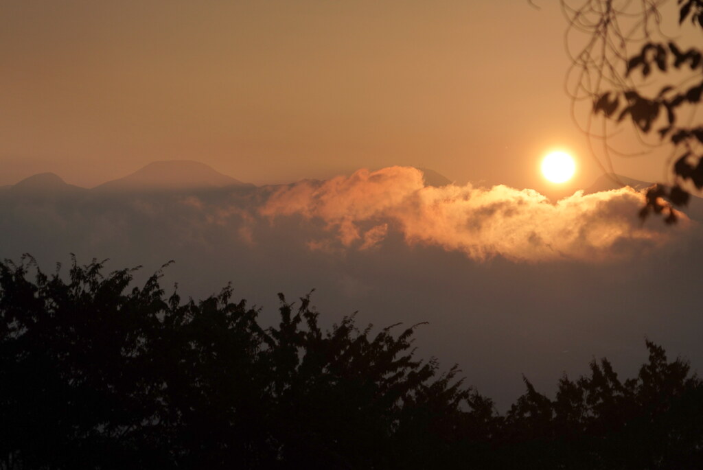 朝陽染まる