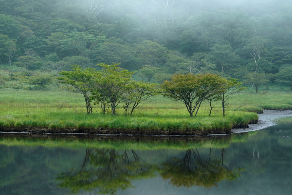 霧降る覚満淵