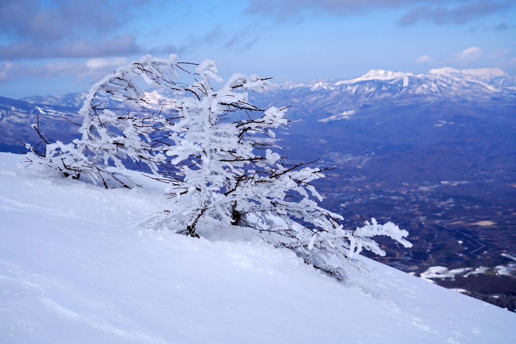 霧氷と草津白根山