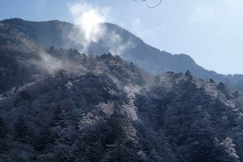 霧氷の朝