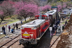 トロッコ渡良瀬渓谷号