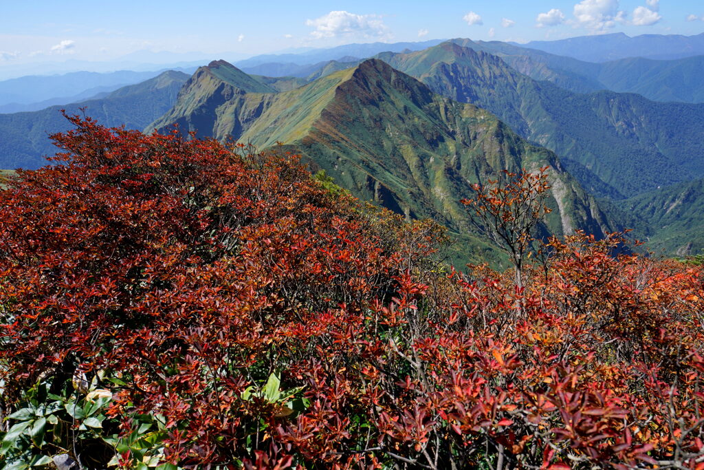 紅葉と谷川主脈