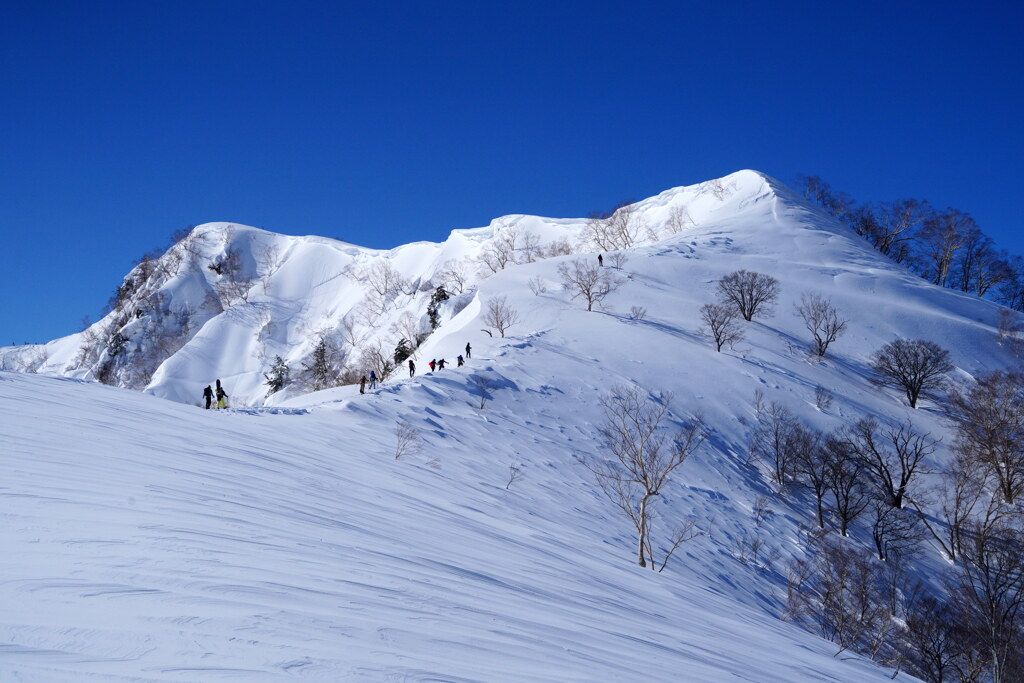 雪纏う尾根