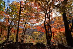 紅葉の旧道ハイク