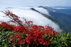 紅く色付く谷川岳