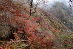 錦染まる尾根 錦染まる尾根