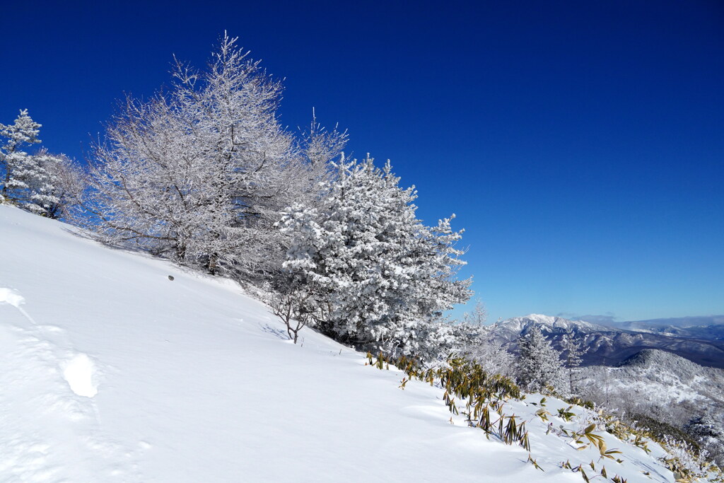 白と青の湯ノ丸山