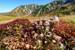 紅葉の立山