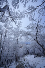 モノクロの霧氷