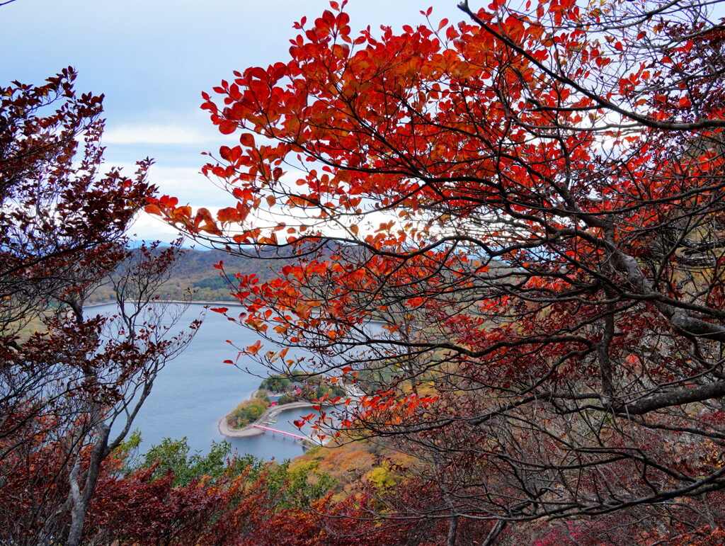 真っ赤な紅葉と赤城神社