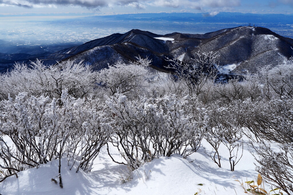 霧氷の赤城山