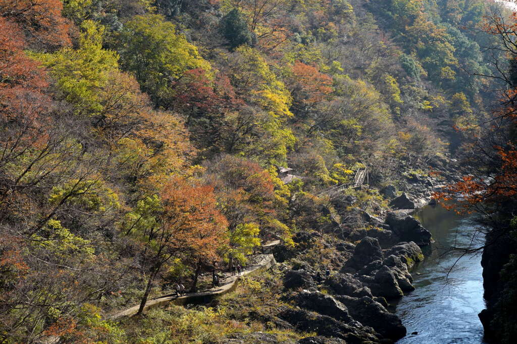 紅葉の高津戸峡２