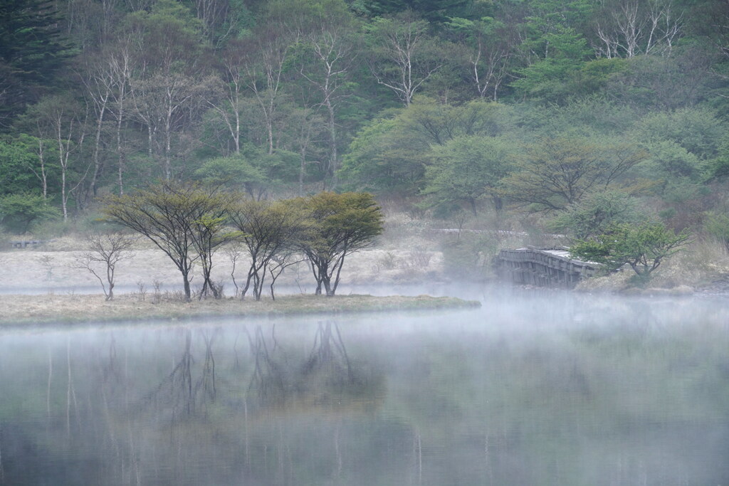 朝霧の覚満淵