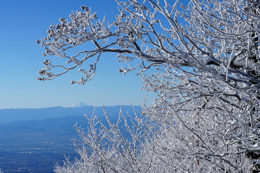 霧氷と富士山