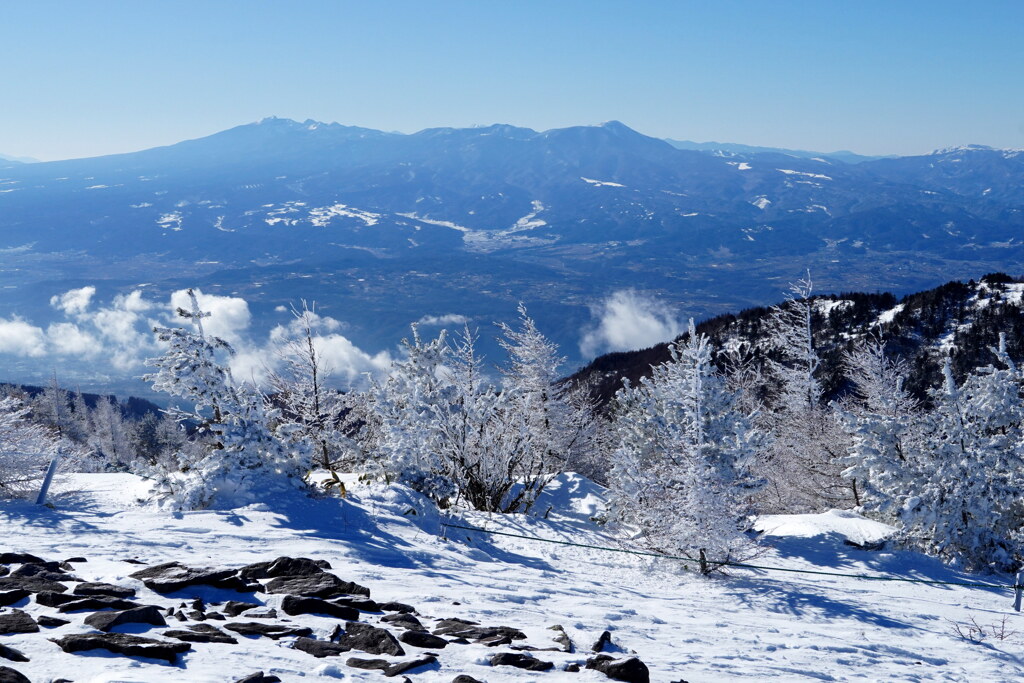 霧氷のカラマツと八ヶ岳