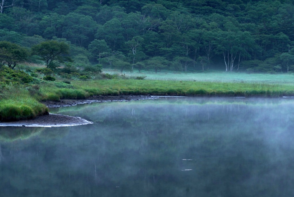 朝霧浮かぶ覚満淵