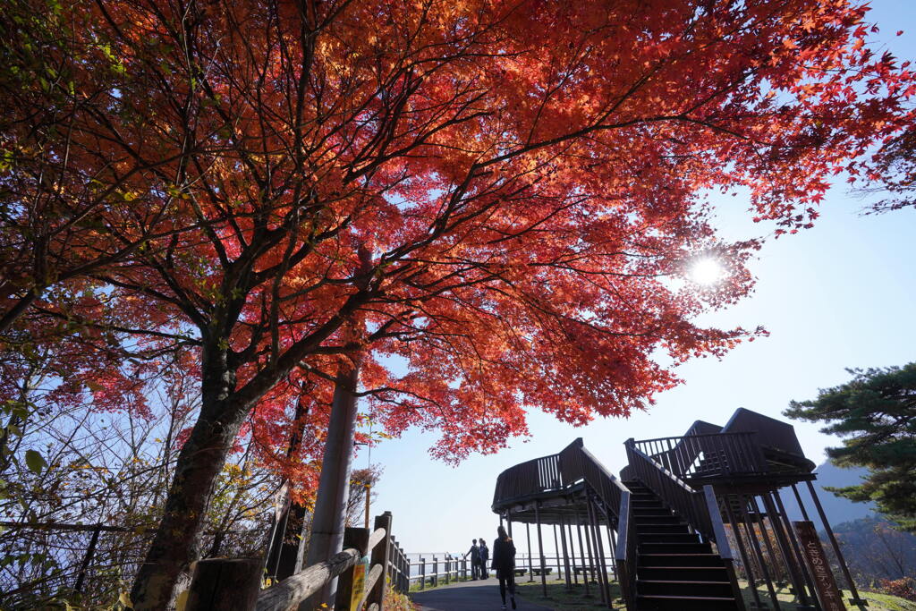 紅葉の上ノ山公園