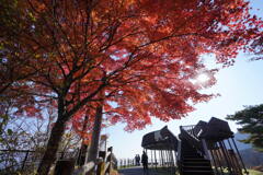 紅葉の上ノ山公園