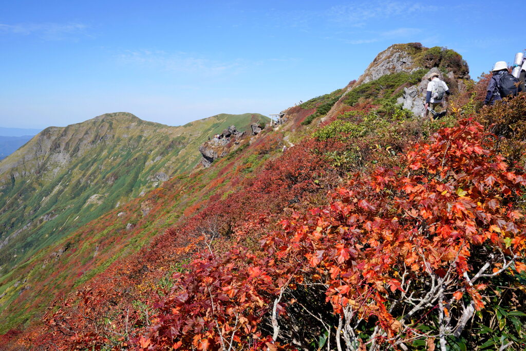 紅葉色の谷川岳