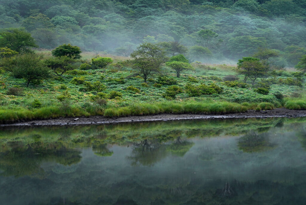 静かなる朝