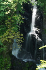 新緑の小中大滝
