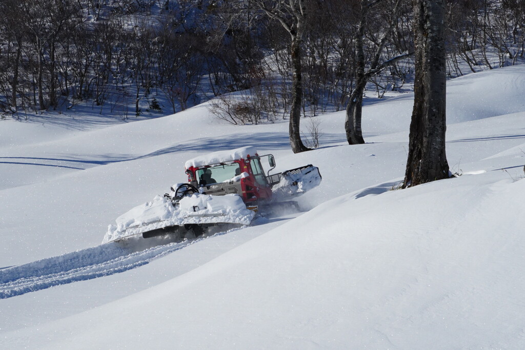パウダーの圧雪